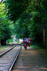 7121F8D5-BE08-4D58-BD04-7401DD77954F/L0/001