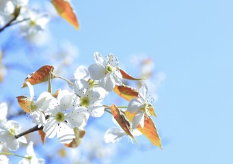 9B8AA21B-9CA8-4855-9E14-7A35DDB6CE22/L0/001