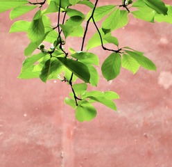 437686C6-4FFF-4F56-A815-74445425EC24/L0/001