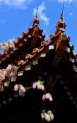 7F803267-7335-45D0-B6FC-37751D6559D2/L0/001