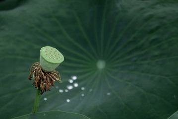 FAFD6950-09F7-40C7-8317-705AA99B46AC/L0/001