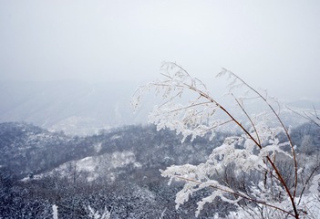 FA880360-2F9A-4718-B5C4-0FF6F0587B8E/L0/001