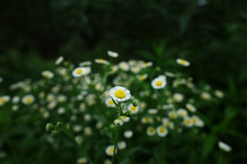 B8724A7F-E094-4D17-8A4B-D743923A4FE7/L0/001