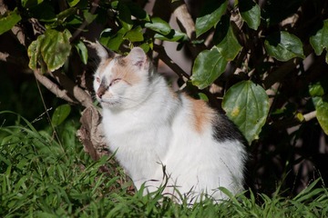 IMG_2145s.jpg
