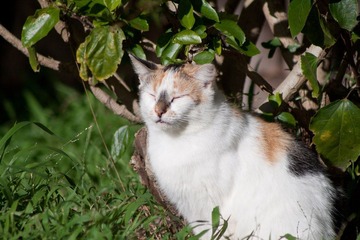 IMG_2158s.jpg