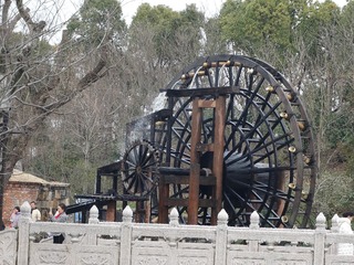 78055