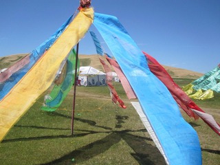 IMG_1172.JPG