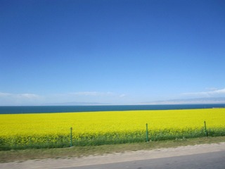 IMG_1347.JPG