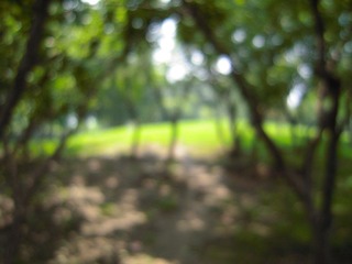 DSCN5204.jpg