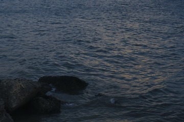 DD2B91F3-8EC4-4A35-B1B1-0B5F21623715/L0/001