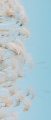 C94979E4-A736-439B-917A-6140E594AB8D/L0/001