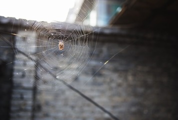 DSC_0214.jpg
