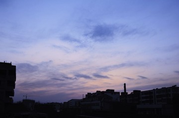 DSC_0398.jpg