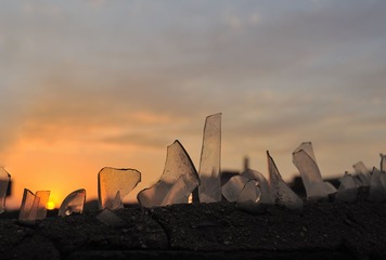 DSC_0439.jpg