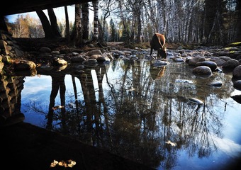 DSC_2957.jpg