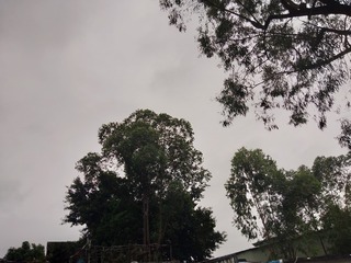 1290411