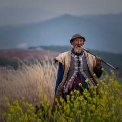 张大爷