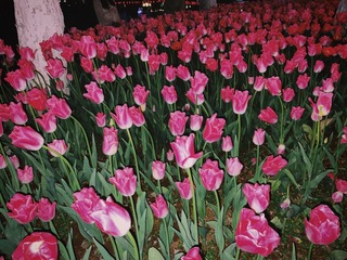 4D9D6900-3FC4-4459-872F-546F515114D2/L0/001
