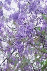 306EA32B-B4D9-45DD-AC97-F1AD74C50108/L0/001