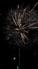 3917B96C-1D3A-4745-8572-A9DD5F705C16/L0/001