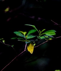 A669B781-7507-4827-BCD6-453F29EE2B8C/L0/001