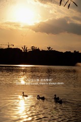 DFE53552-DC54-40D2-B2E1-4ACEC481DA3F/L0/001