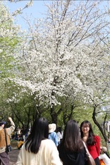 F28BD946-B22C-4ACF-8452-11591452095A/L0/001