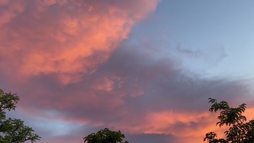753268B2-97C0-4B16-A742-3CF7E6FD4BB1/L0/001