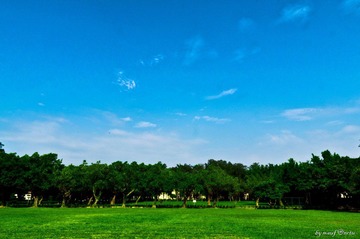 DSC_0048-3.jpg