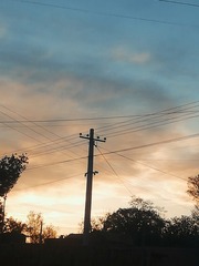 228528