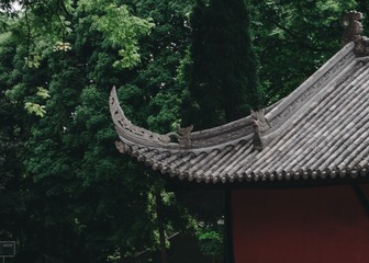 838E00EC-7FC2-4B38-A703-3C2FD85C907C/L0/001