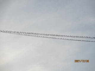146051