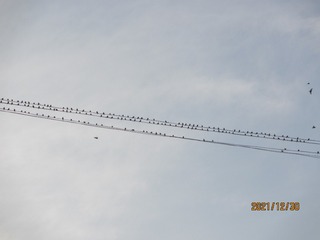 146052