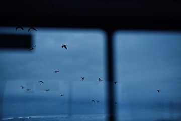 F4480D00-DBD5-4004-9717-B95E31822F05/L0/001