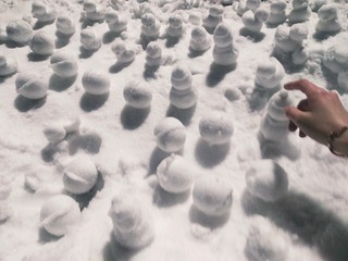 1229