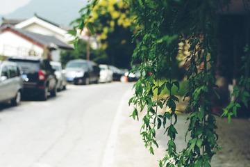 IMGP7493_