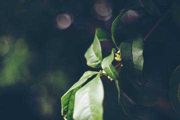 IMGP7497_