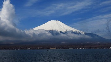 1217874