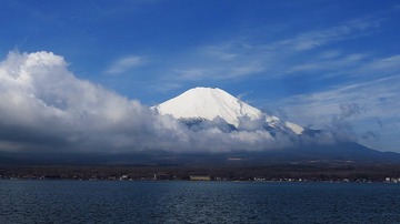 1217873