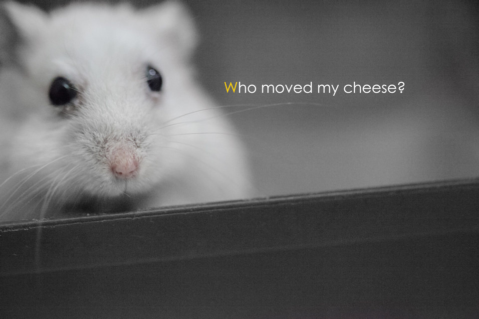 who moved my cheese br />