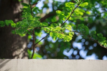 _MG_6831-编辑.jpg