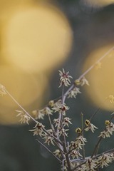 5E6955AB-98AC-427F-B409-3B9F0C330996/L0/001