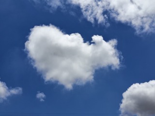 1000010248