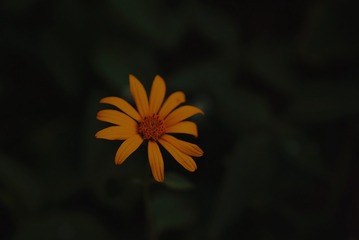 81542A4B-F622-420F-A974-A52D1BD1810B/L0/001