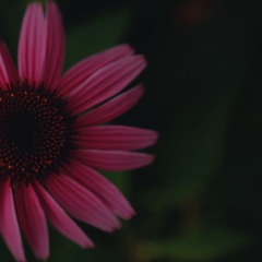 18F2EA11-8189-476D-BBAD-90BF260F100D/L0/001
