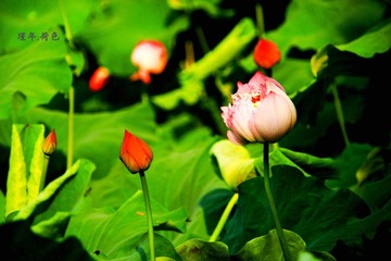 IMG_6197.jpg