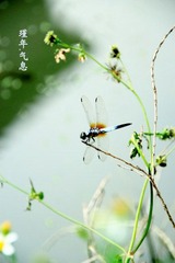 IMG_6307.jpg