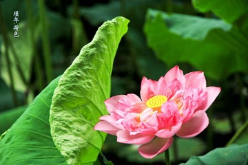 IMG_6472.jpg