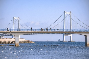 CC9A7582-E67E-4076-BEB7-60AB3BB61AF0/L0/001