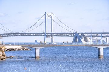 F36608C8-1786-469C-8797-0220E02F687A/L0/001